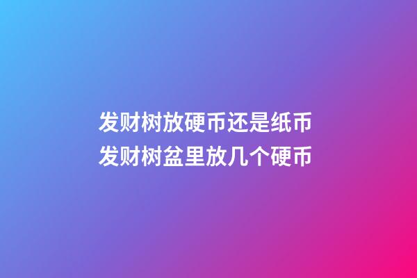 发财树放硬币还是纸币 发财树盆里放几个硬币
